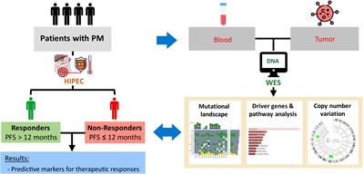 Genetic alterations in peritoneal metastatic tumors predicted the outcomes for hyperthermic intraperitoneal chemotherapy